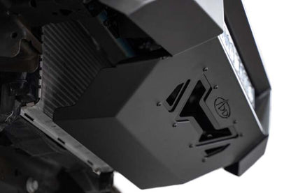 Photo - Close Up