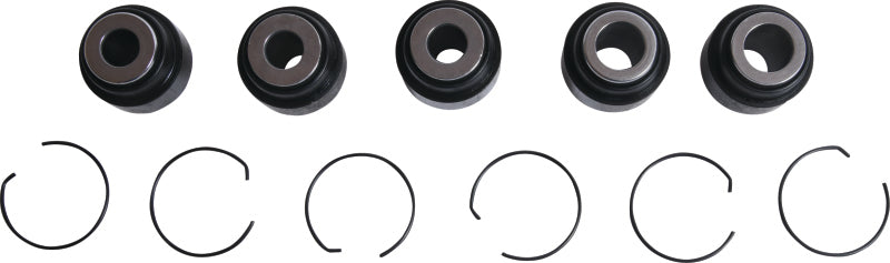 Photo - Close Up