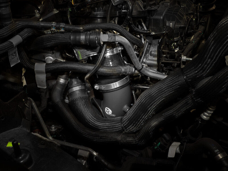 Photo - Mounted