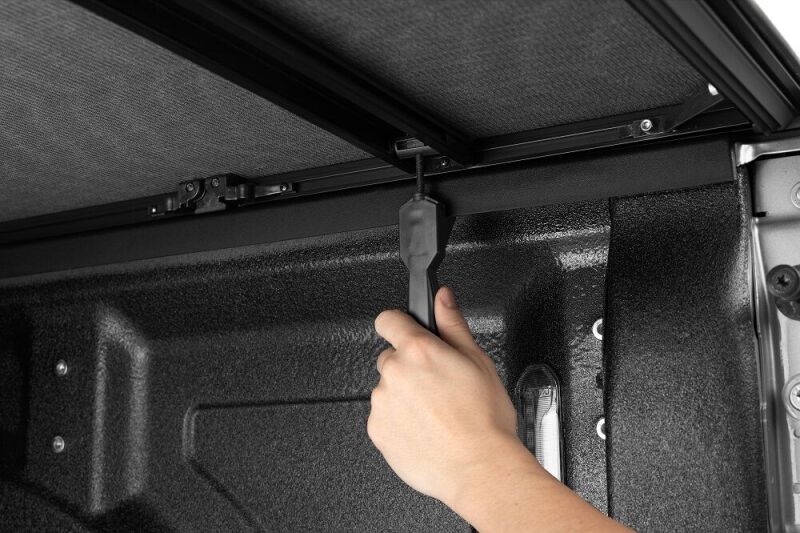 Photo - Close Up